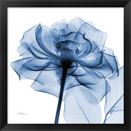 Framed Indigo Rose Print