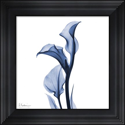 Framed Indigo Covered Calla Lily Print