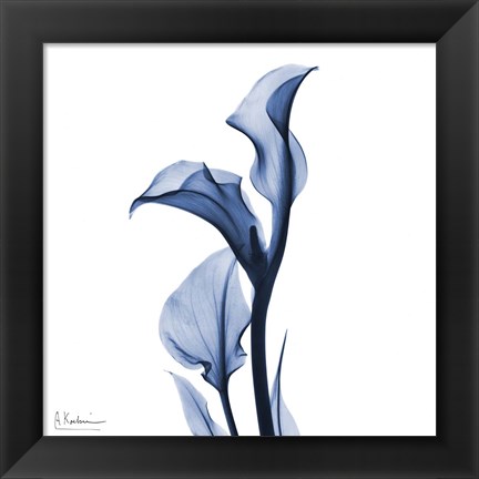 Framed Indigo Covered Calla Lily Print