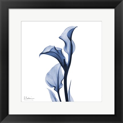 Framed Indigo Covered Calla Lily Print