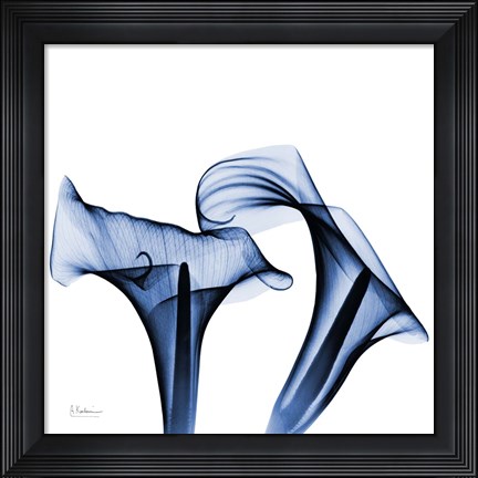 Framed Twin Indigo Calla Lilies Print