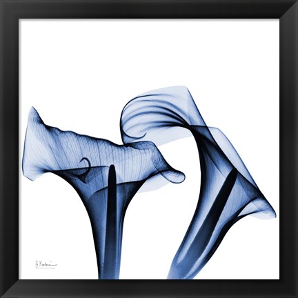 Framed Twin Indigo Calla Lilies Print