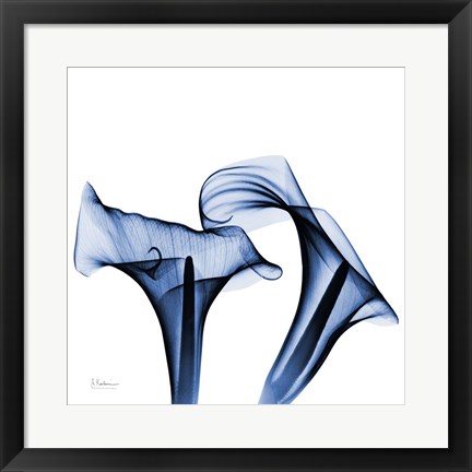 Framed Twin Indigo Calla Lilies Print