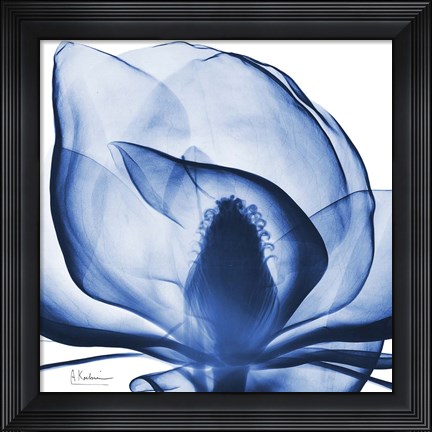 Framed Indigo Magnolia Print