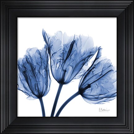 Framed Indigo Stunning Tulips Print