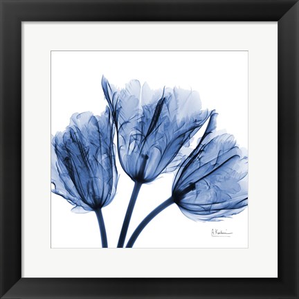 Framed Indigo Stunning Tulips Print