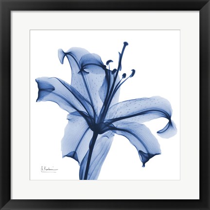 Framed Glorious Indigo Lily Print