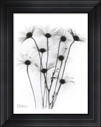 Framed Marsharile 2 Print