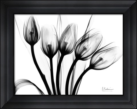 Framed Marching Tulips Print