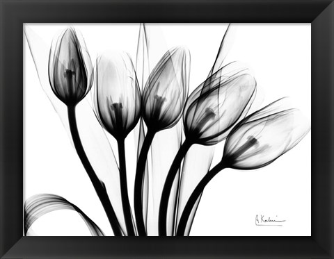 Framed Marching Tulips Print