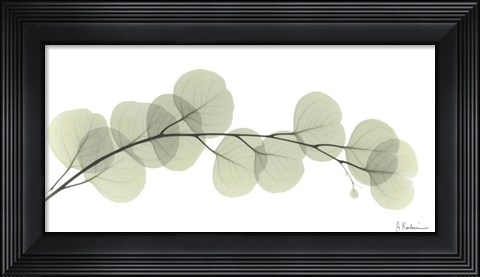 Framed Eucalyptus L196 Print