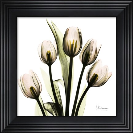 Framed Tulip Print
