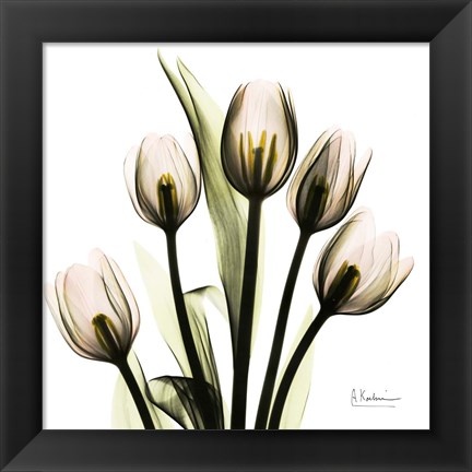 Framed Tulip Print