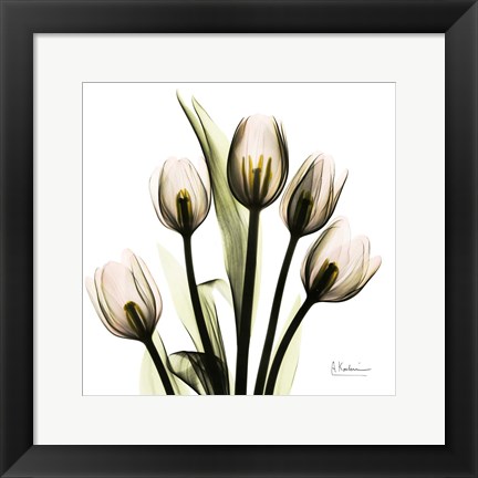 Framed Tulip Print