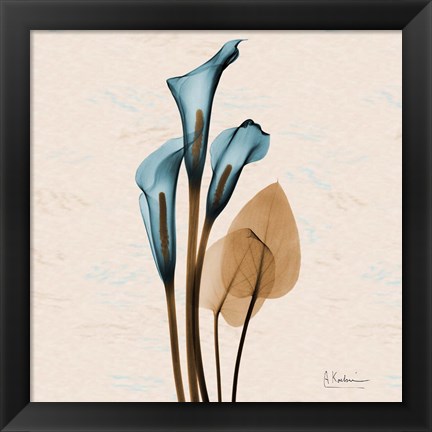 Framed Calla Lily Blue Brown Print