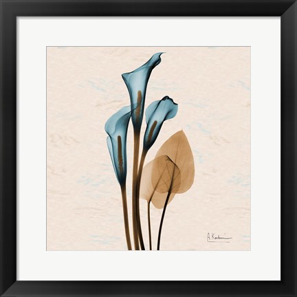 Framed Calla Lily Blue Brown Print