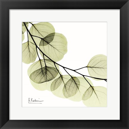 Framed Mint Eucalyptus 2 Print