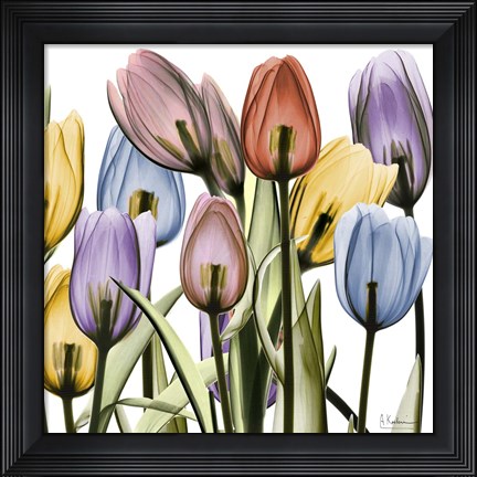 Framed Tulipscape Print