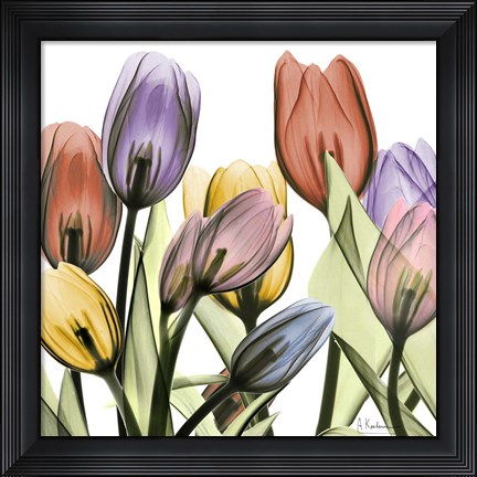 Framed Tulipscape 2 Print