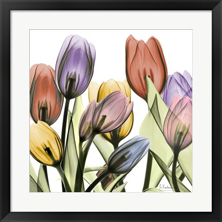 Framed Tulipscape 2 Print