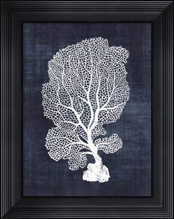 Framed Sea Fan 1 Print