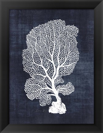 Framed Sea Fan 1 Print