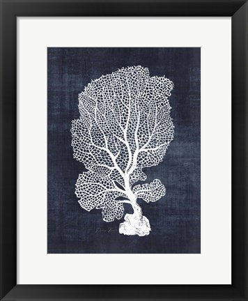 Framed Sea Fan 1 Print