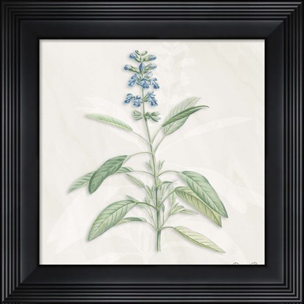 Framed Blue Botanical 1 Print