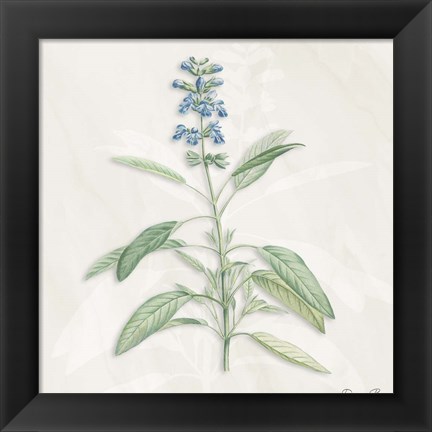 Framed Blue Botanical 1 Print