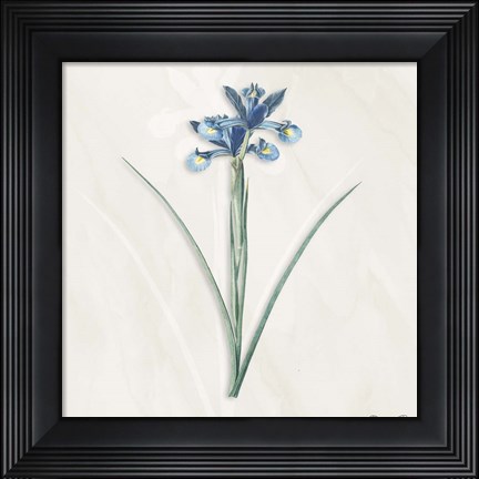 Framed Blue Botanical 2 Print