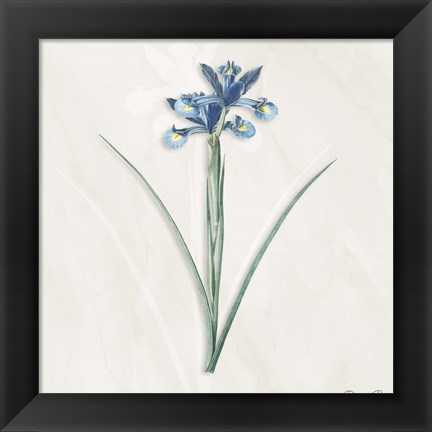 Framed Blue Botanical 2 Print