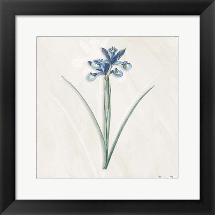 Framed Blue Botanical 2 Print