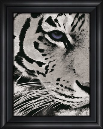 Framed Tiger Purple Eye Print
