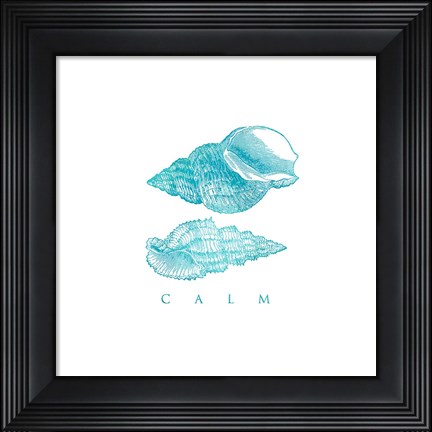 Framed Calm Shells Print