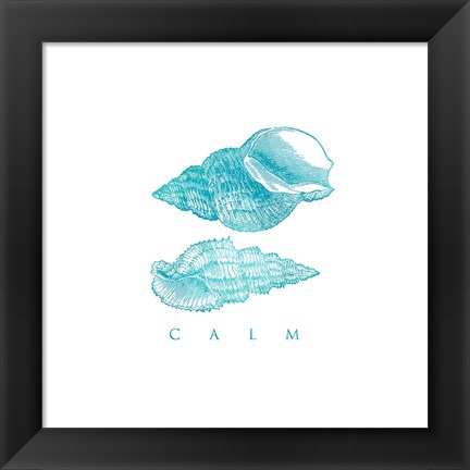 Framed Calm Shells Print