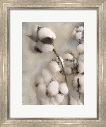 Framed Sprays of Cotton 2 Print