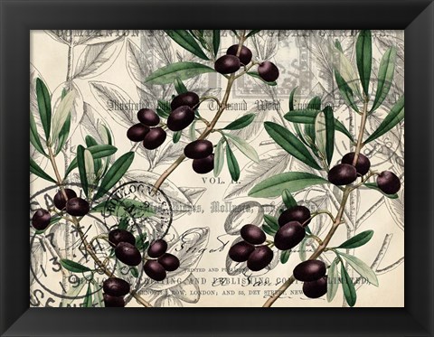 Framed Olive Branch 1 Print