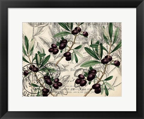 Framed Olive Branch 1 Print