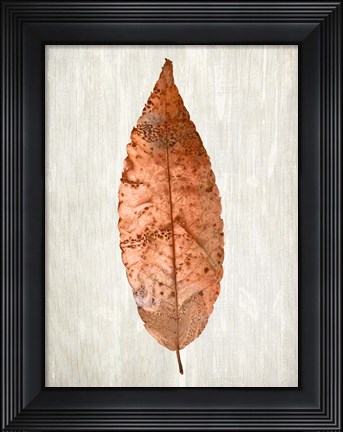 Framed Copper Leaves 1 Print