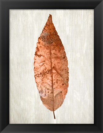 Framed Copper Leaves 1 Print