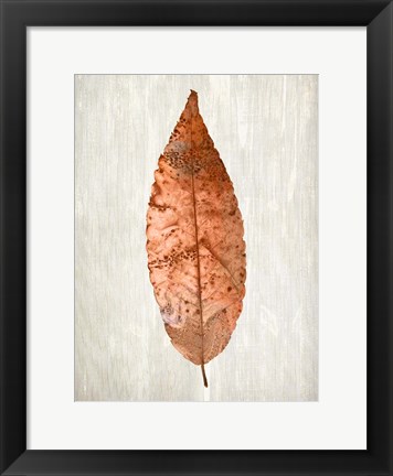 Framed Copper Leaves 1 Print