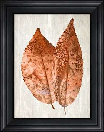 Framed Copper Leaves 2 Print