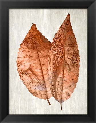 Framed Copper Leaves 2 Print