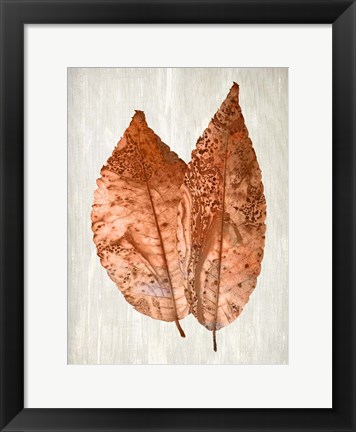 Framed Copper Leaves 2 Print