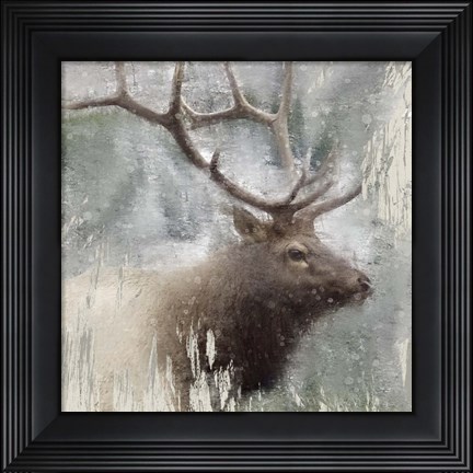 Framed Wildlife 2 Print