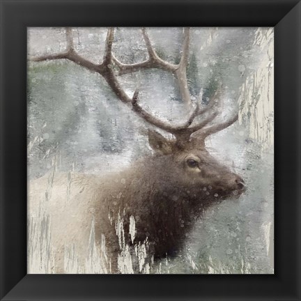 Framed Wildlife 2 Print