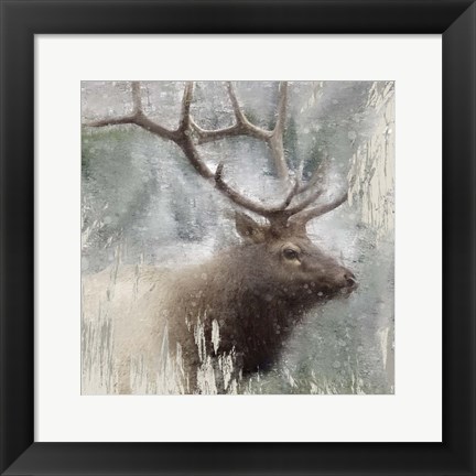 Framed Wildlife 2 Print