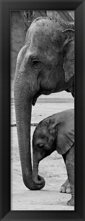 Framed Mothers Love Print
