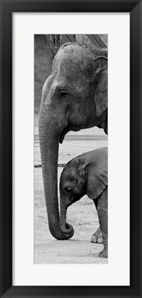 Framed Mothers Love Print