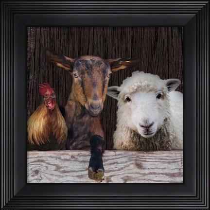 Framed Farm Life Print